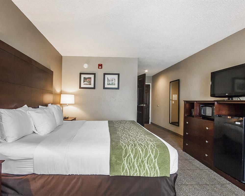 Comfort Inn Us Hwy 80 Demopolis Buitenkant foto